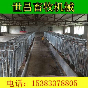 豬場限位欄設(shè)備河北世昌畜牧廠家供應(yīng)
