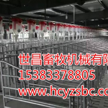 內(nèi)蒙古通遼豬場(chǎng)設(shè)備自動(dòng)化喂料線安裝廠家