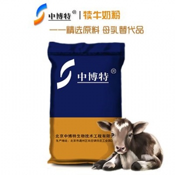 剛出生犢牛的飼養(yǎng)中博特犢牛奶粉