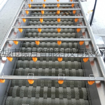 全自動(dòng)果蔬毛刷去皮清洗機(jī) 根莖類果蔬去皮清洗設(shè)備
