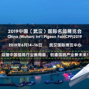 CPF武漢國際名鴿展2019年6月14-6月16