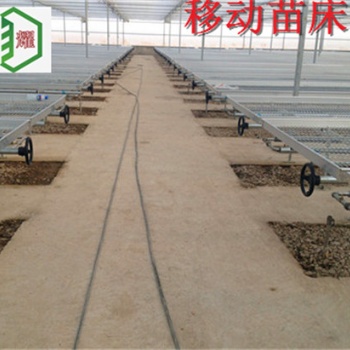 江西瑞金高品質高質量移動苗床華耀品牌放心用