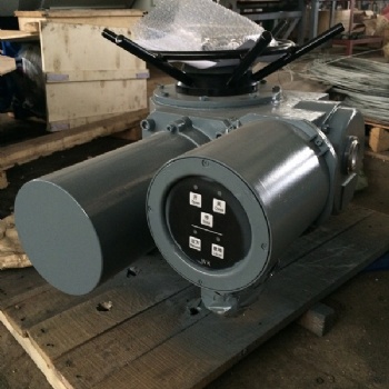 DZW30-24-A00-WK開關型閥門電動裝置