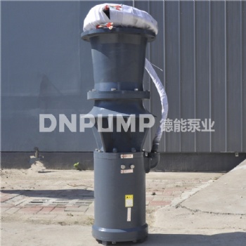北方地區(qū)現(xiàn)貨供應(yīng)QSZ簡易軸流泵