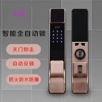 廠家指紋密碼鎖智能鎖防盜門電子鎖全自動指紋鎖智能門鎖現(xiàn)貨