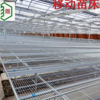 江西上饒育苗溫室移動苗床苗床網(wǎng)配套批發(fā)廠價促銷