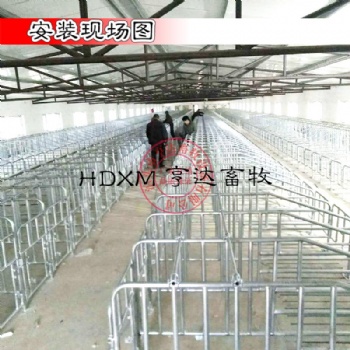 亨特畜牧廠家定位欄熱鍍鋅限位欄十個豬位限位欄價格尺寸