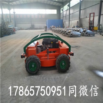 割草機(jī)廠家割草機(jī)報價遙控割草機(jī)圖片