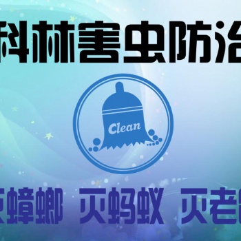 超市蟑螂危害為何日益嚴重？咸陽滅蟑螂公司蟑螂防治的必要性