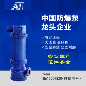 專業(yè)生產礦用防爆潛水泵 IP×8防護等級