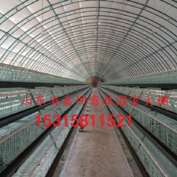 廠家定制畜牧溫室大棚包塑防腐溫室大棚優質溫室大棚建造安裝連棟式畜牧溫室大棚