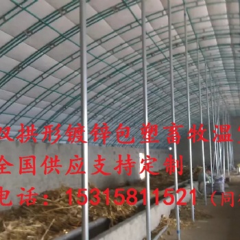 智能溫室大棚溫室大棚設計養鴨大棚拱形溫室大棚