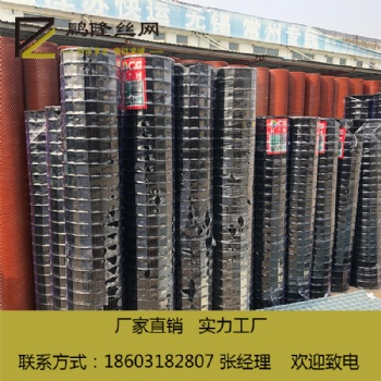 鵬隆絲網(wǎng) 質(zhì)量可靠 荷蘭網(wǎng) 50*50 養(yǎng)殖防護網(wǎng)