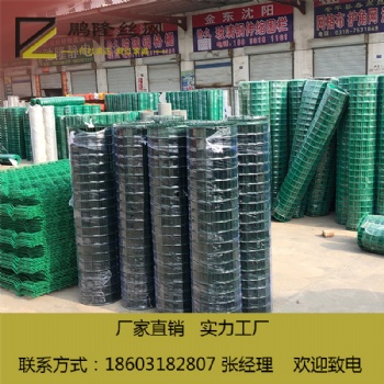 鵬隆絲網(wǎng) 優(yōu)質(zhì)質(zhì)量 浸塑 荷蘭網(wǎng) 50*50 實體工廠