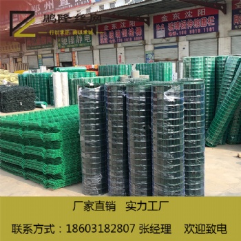安平 鵬隆絲網(wǎng) 養(yǎng)殖用網(wǎng) 60*60荷蘭網(wǎng) 實體廠家