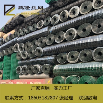 河北安平 鵬隆絲網(wǎng) 養(yǎng)殖防護網(wǎng) 50*50荷蘭網(wǎng) 源頭廠家