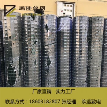 安平鵬隆絲網(wǎng) 質(zhì)量可靠 50*50 浸塑荷蘭網(wǎng) 實體廠家
