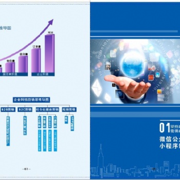 網(wǎng)站建設(shè)與維護 微信支付服務(wù)商 望海網(wǎng)絡(luò) 小程序開發(fā)