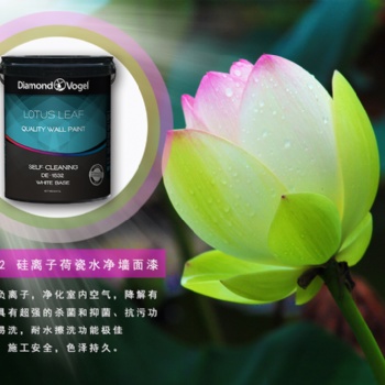 美國鉆石涂料進口乳膠漆DE1532 硅離子荷瓷水凈墻面漆