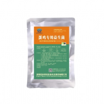 益生菌替代抗生素，蛋雞養殖新趨勢