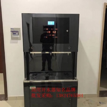 廣東威可利單位直飲水機廠家 高端反滲透飲水機 WR-90L