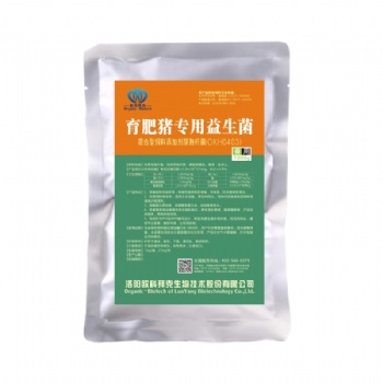 研究：益生菌可以促進育肥豬體重增加