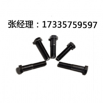 盾構機配件方頭螺栓 M16*70-33H 代替 /M16*70-8.8-DIN479 德標
