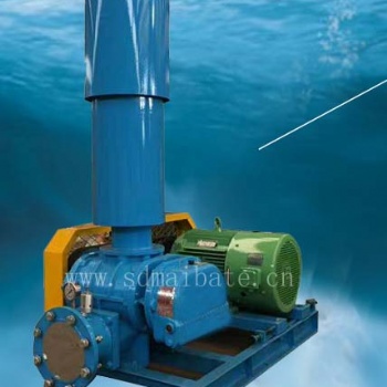 廠價 輸送氣體高壓羅茨風機 污水處理高壓風機 增氧曝氣風機