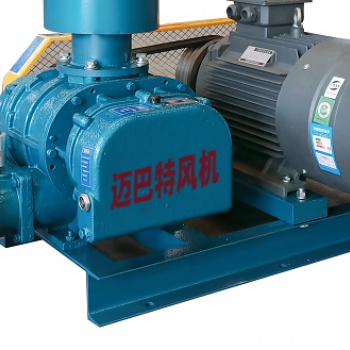 高效節(jié)能噪音低振動小三葉羅茨鼓風(fēng)機 羅茨風(fēng)機