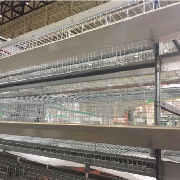 養雞設備中州牧業 優質蛋雞籠