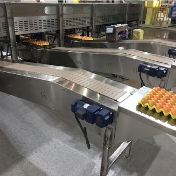 中州牧業養殖設備 優質蛋雞籠