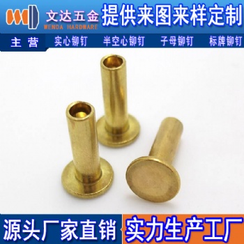 半空心銅鉚釘 平頭半空心黃銅鉚釘 圓頭半空心紫銅鉚釘 定制鉚釘.jpg