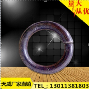 天威20-60規格型號 保護鏈維修配件 高密度圓環
