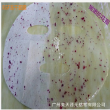 廣州美天源玫瑰花瓣凍干面膜