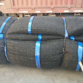 河北順華絲網(wǎng)大量生產(chǎn)三維侵蝕防護(hù)毯質(zhì)優(yōu)價廉全國供應(yīng)歡迎訂購