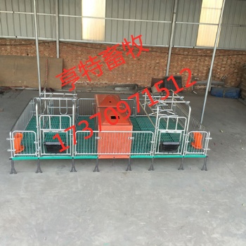 雙體復(fù)合板母豬產(chǎn)床設(shè)備