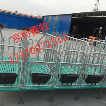 性價(jià)比高的定位欄，標(biāo)準(zhǔn)母豬定位欄