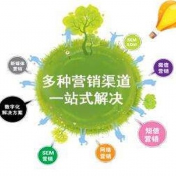 數(shù)字貨幣平臺(tái)招商，專業(yè)網(wǎng)絡(luò)推廣