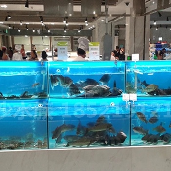 廣州好水族海珠酒飯店超市海鮮池魚缸制冷機安裝移動大排檔貝類魚池定做