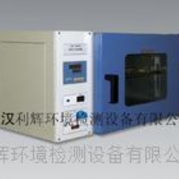 武漢利輝熱空氣干燥箱