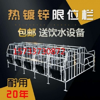 母豬產(chǎn)床復(fù)合材料豬用產(chǎn)床仔豬母豬分娩床單體雙體產(chǎn)床養(yǎng)豬設(shè)備