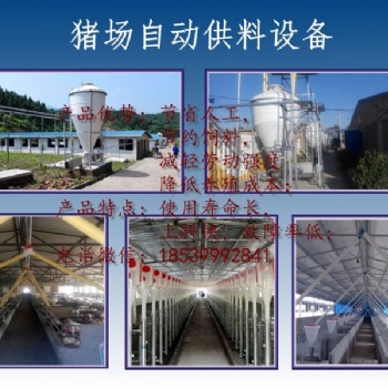 豬場自動供料設備/自動喂料設備/自動料線