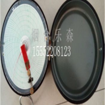單筆XGJ型圓圖自動(dòng)平衡記錄(調(diào)節(jié))儀 簡單操作 易上手