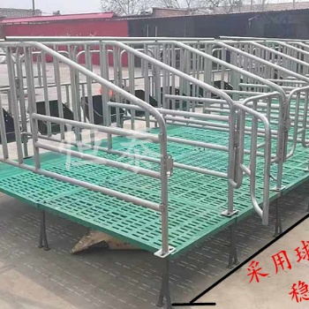 滄州仔豬分娩床產(chǎn)保育床養(yǎng)豬場養(yǎng)殖設(shè)備