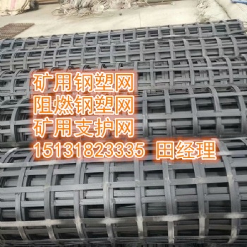 安平森旺生產鋼塑護幫網，雙抗網，阻燃鋼塑格柵網
