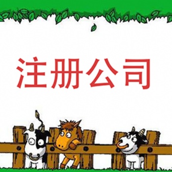 深圳龍崗區(qū)免費(fèi)注冊公司—代理記賬報(bào)稅等工商服務(wù)