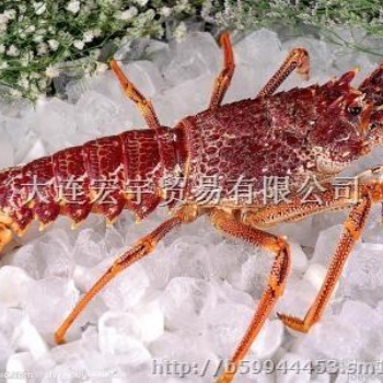 進口印度凍蝦報關需要注意的地方