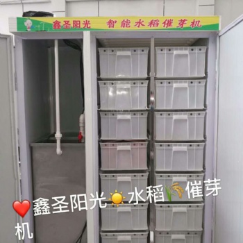 水稻發芽機 商用大型種子催芽發芽機 各種種子催芽 水稻育苗機