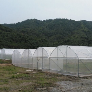 花卉大棚廠家/花卉智能玻璃溫室大棚/花卉種植大棚