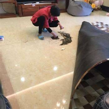 家庭供水管漏水檢測，工廠消防管漏水檢測，暗管漏水檢測